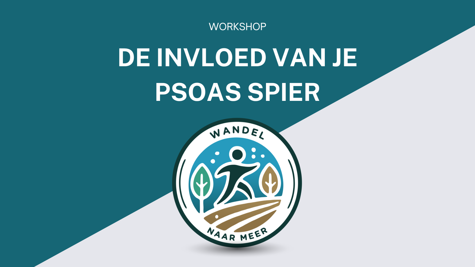 workshop de invloed van de psoas spier